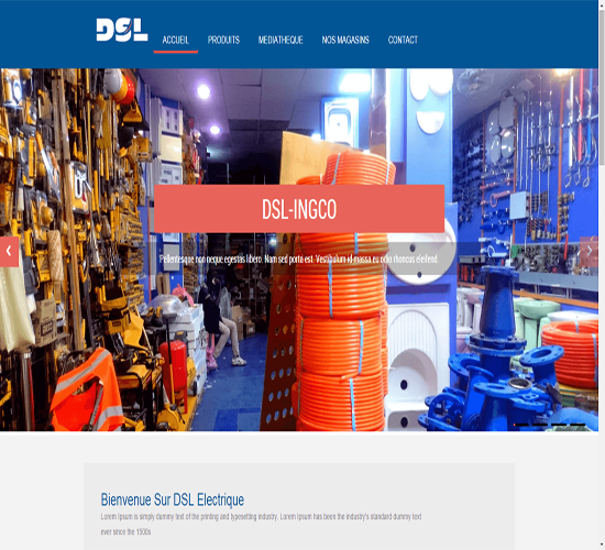 projet web dsl